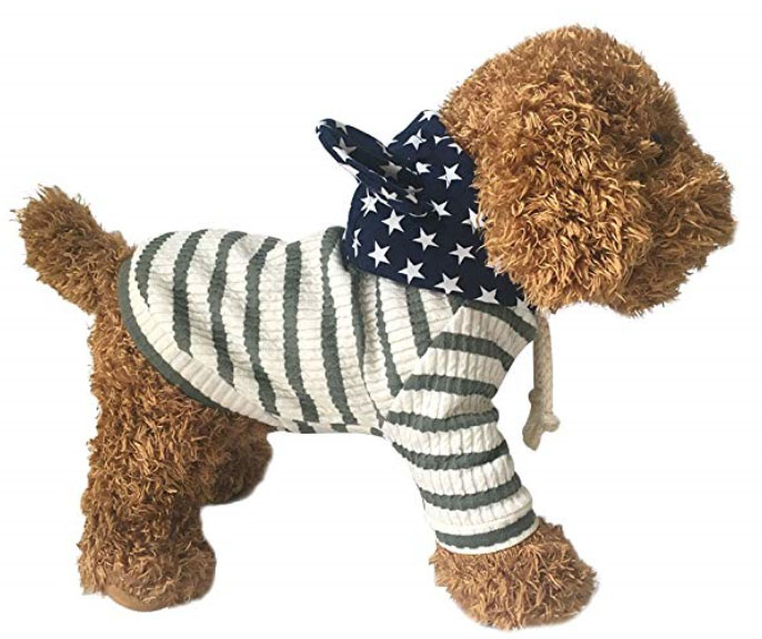 Pet Clothes Looking for Distributors Worldwide-Pet